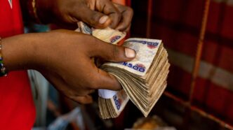 Naira Rises Slightly Against Dollar