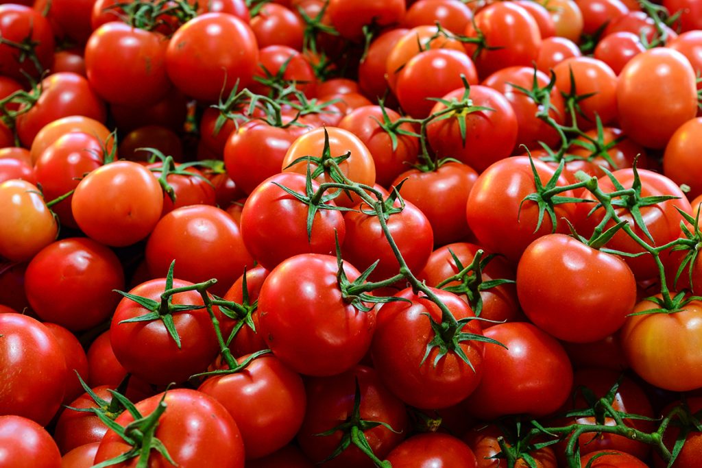 Horticulture Holds the Key to Nigeria’s Food Security, Says Agriculture Minister