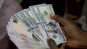 Naira Bounces Back, Gains Against Dollar
