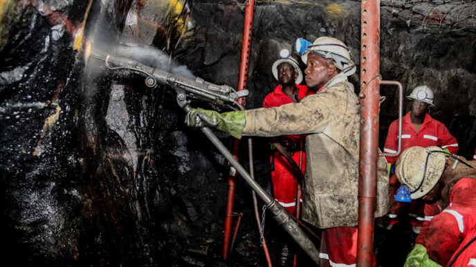 Africa Must Reclaim Its Resources – Lesego Mosikare