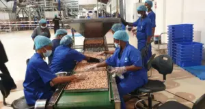 Julius Berger (News Central TV)