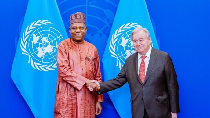 Nigeria Pushes Security Council Bid at UN
