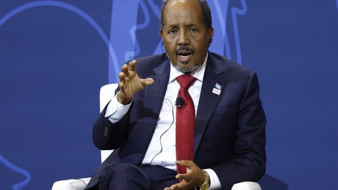 Somali President Urges UN to Secure Lasting Ceasefire in Gaza