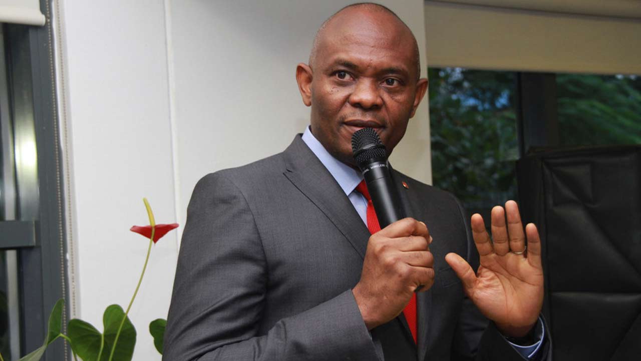 Elumelu (News Central TV)