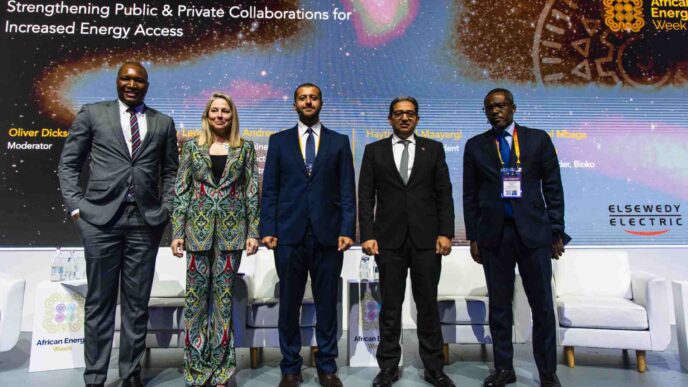 African Energy Leaders Urge Government-Private Collaboration