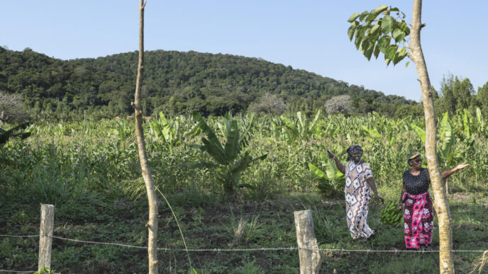 Kenya (News Central TV)