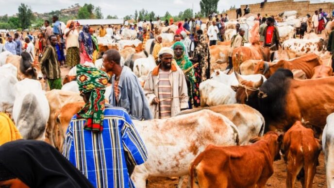 Nigeria Launches New Livestock Policy