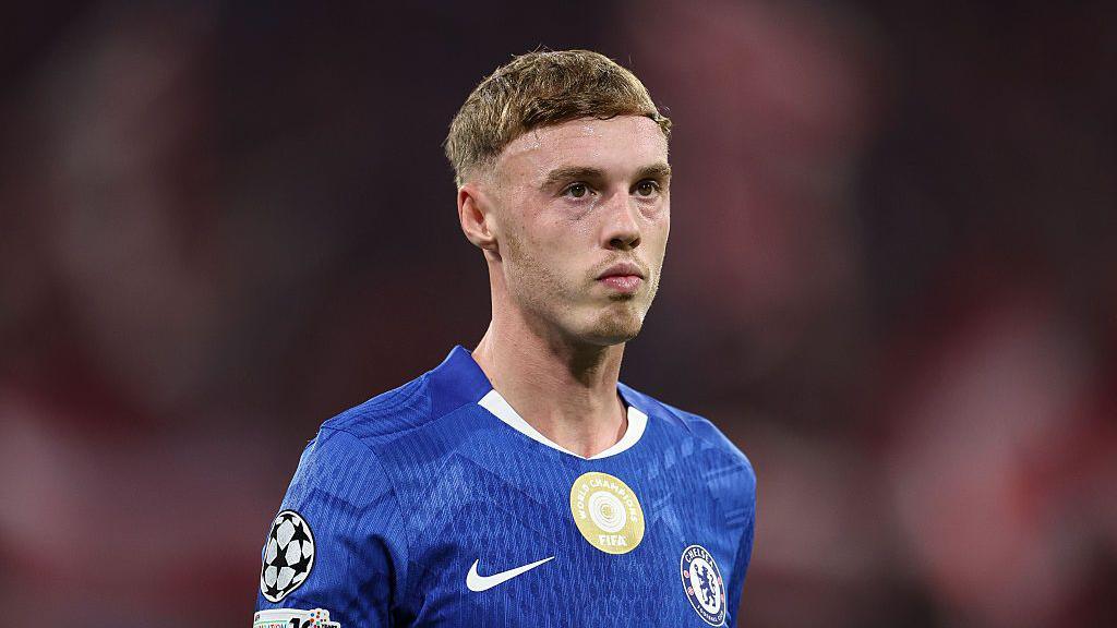 Palmer (News Central TV)