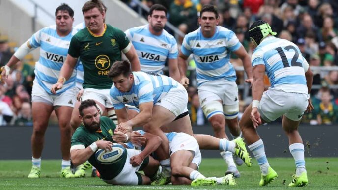 Springboks (News Central TV)