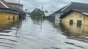 Two Brothers Drown While Rescuing Flood Victim