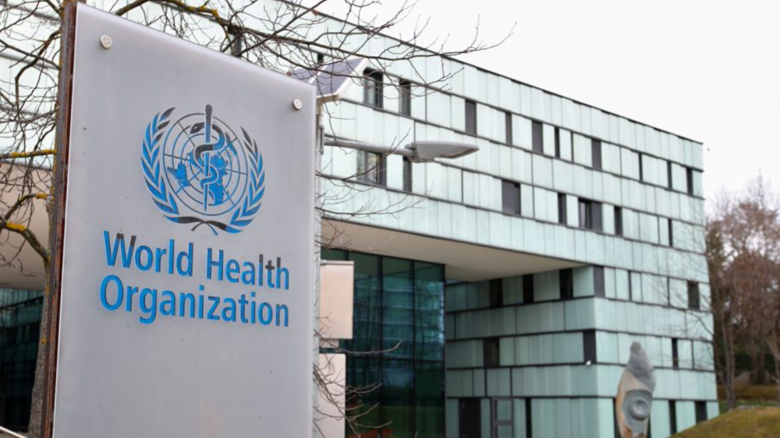 WHO Urges Global Action to Improve Brain Health