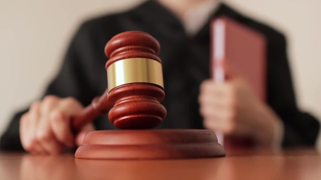 Historian (News Central TV)