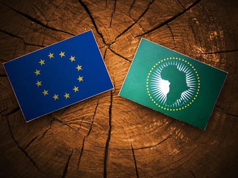 African leaders (News Central TV)