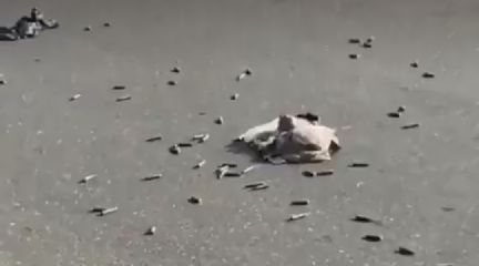 Ammunition Falls from Bus at Ahmadu Bello University Gate