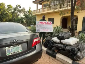 Army Seizes 108kg of Cannabis, Arrests Suspect in Kogi