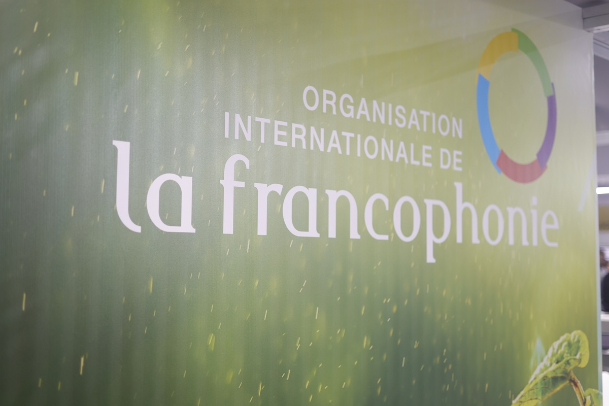 Carbon Credits are Paying Out in Congo