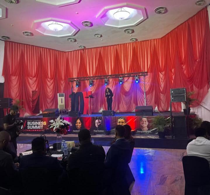 Experts Call for Innovation, Global Alliances to Drive African Entrepreneurship