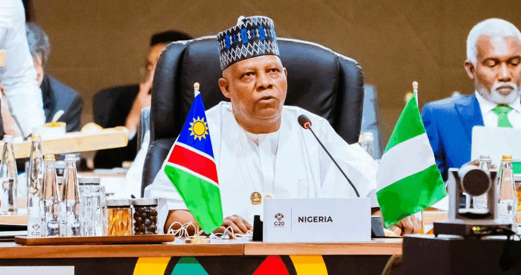 G20 Summit: Nigeria Seeks Fair Mineral Trade