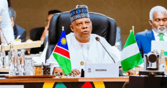 G20 Summit: Nigeria Seeks Fair Mineral Trade