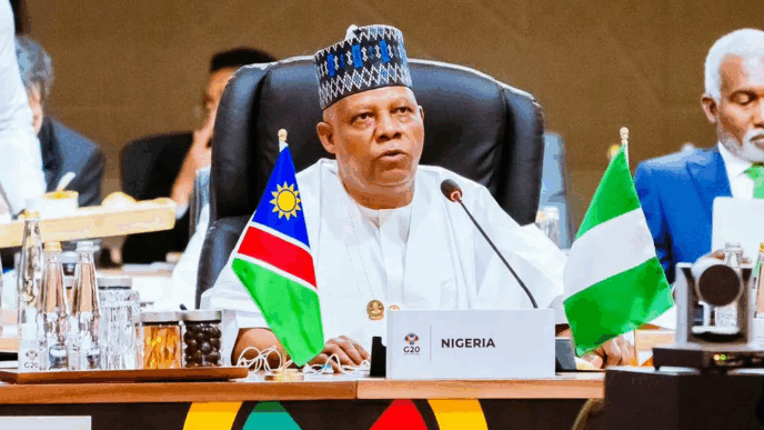 G20 Summit: Nigeria Seeks Fair Mineral Trade