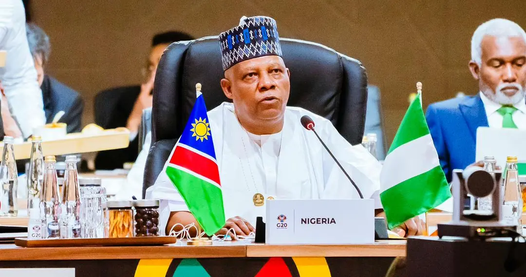 G20 Summit: Nigeria Seeks Fair Mineral Trade