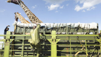 Kenya (News Central TV)