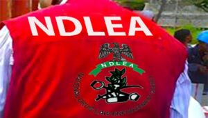 NDLEA Raids Expose Drug Operations Nationwide