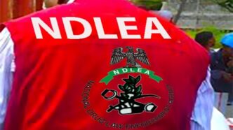 NDLEA Raids Expose Drug Operations Nationwide
