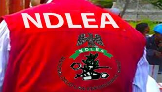 NDLEA Busts Colorado Lab Operation in Lagos