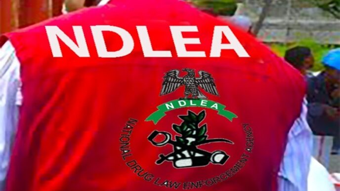 NDLEA Busts Colorado Lab Operation in Lagos
