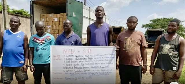 NDLEA Busts Lagos Opioid Syndicate