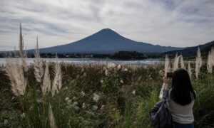 tourism (News Central TV)