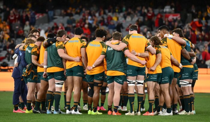 Springboks (News Central TV)