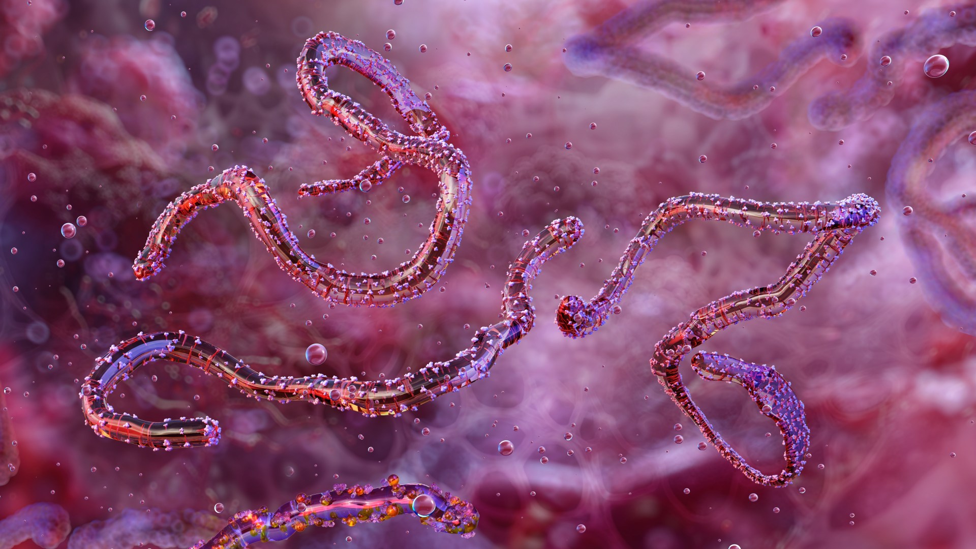 Marburg (News Central TV)