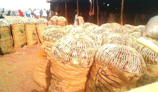 Sokoto (News Central TV)