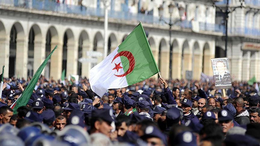Algeria Declares French Colonisation a Crime. 