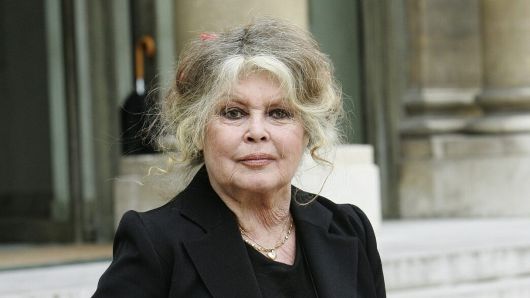 French Film Icon Brigitte Bardot Dies at 91