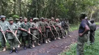 Nigeria Orders Immediate Deployment of 7,000 Forest Guards