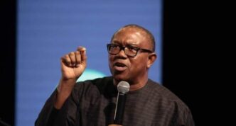 Tinubu Never Called Makinde Over Kidnapping - Obi