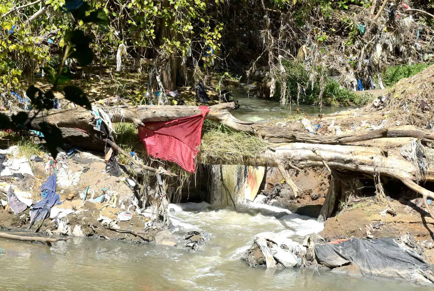 rivers (News Central TV)