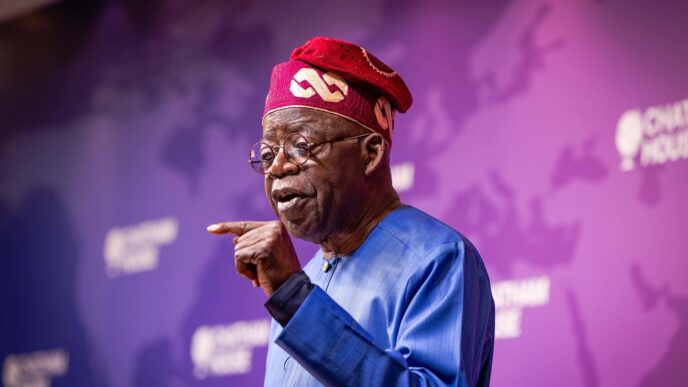 Tinubu Says Tax Laws Remain on Track