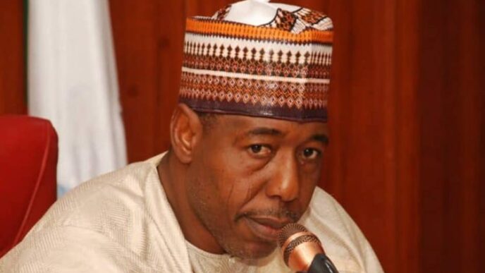 Borno Defends Repentant Terrorist Reintegration (News Central TV)
