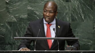 G. Bissau Frees Jailed Opposition Leader Pereira