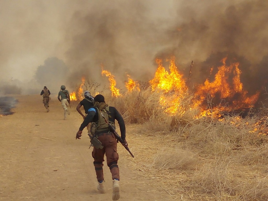 Airstrikes Kill Over 40 Terrorists in Borno – NAF
