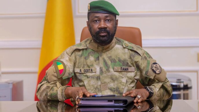 Mali Says Over 100 Terrorists Killed in Air Strike