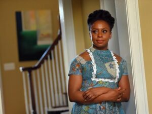 Chimamanda Adichie Serves Euracare Hospital Legal Notice