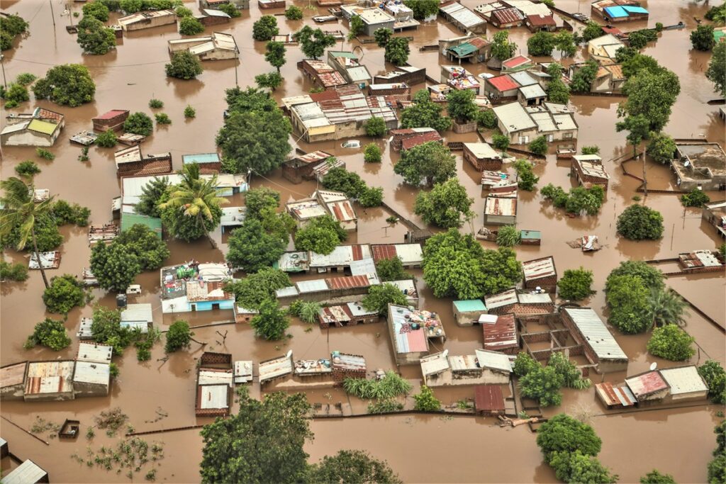 Crocodiles Kill Three as Floods Hit Mozambique