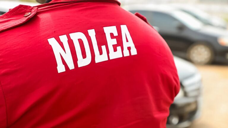 Marwa: NDLEA Arrested 77,859 Drug Suspects in Five Years