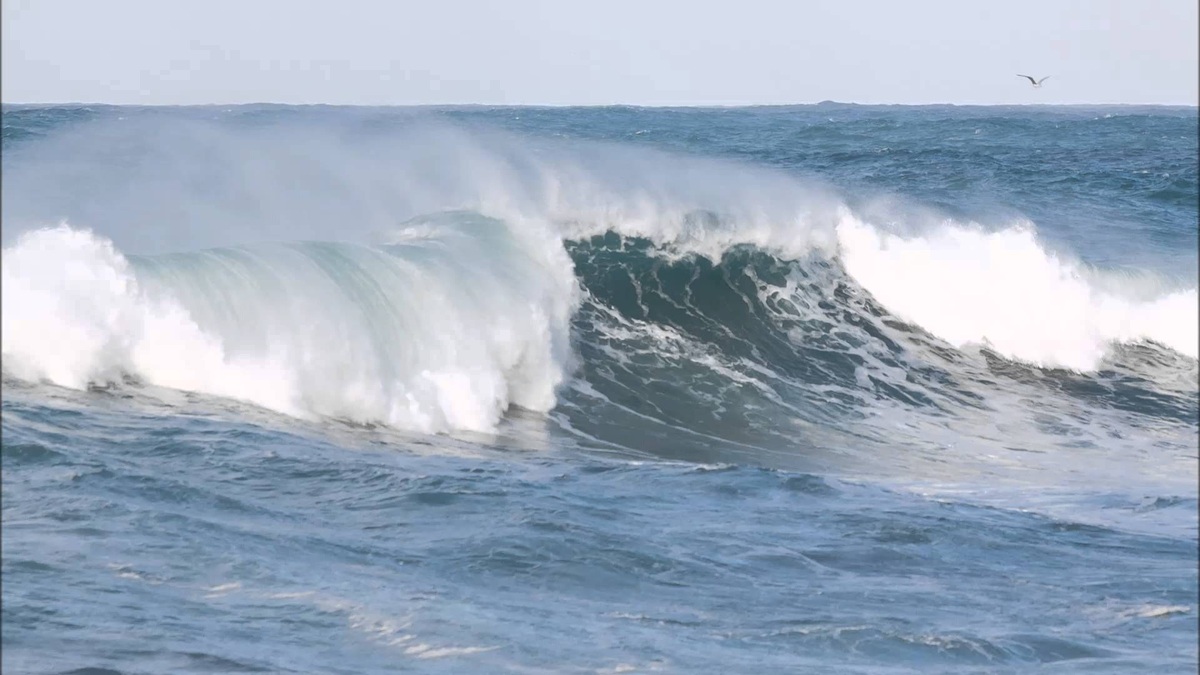 NSRI Warns of Full Moon Spring Tide