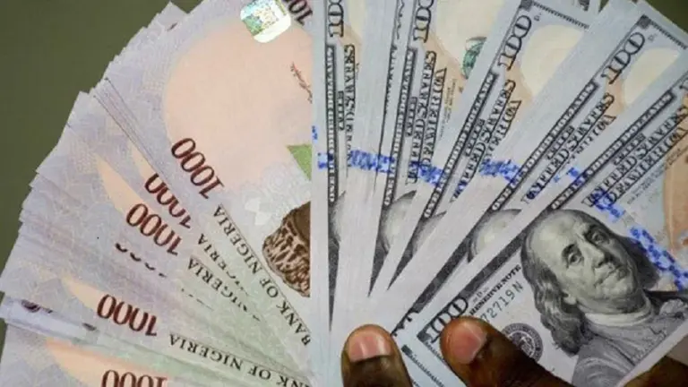 Naira Steadies at N1,362.55/$ in Official Market